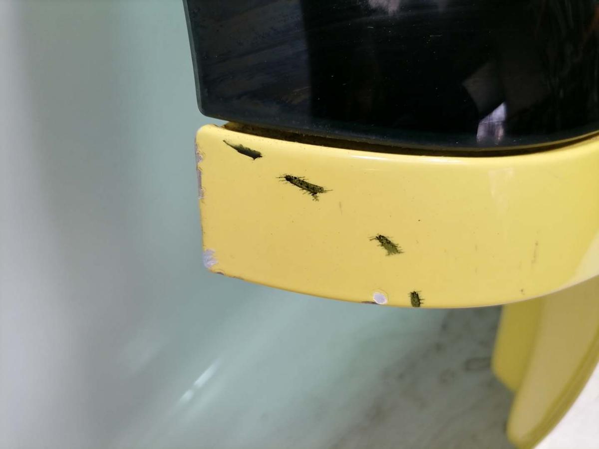 VW Polo 9N3 Bj.2007 original Heckklappe mit Heckscheibe LB1B Sunflower Yellow